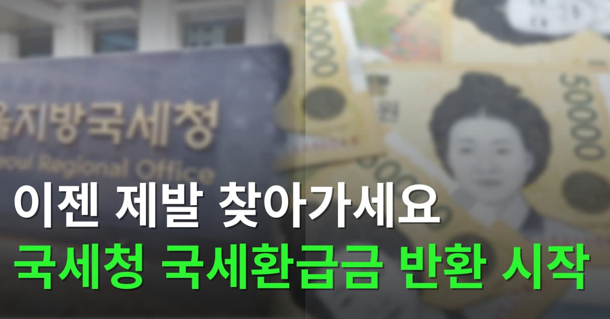 국세환급금